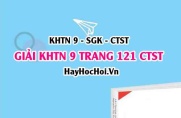 Giải KHTN 9 trang 121 Chân trời sáng tạo SGK